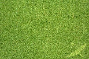 yeşil çim dokusu ve arka plan üzerinde uydu anteni