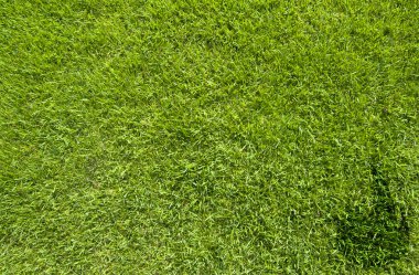 simge yeşil çim dokusu ve arka plan üzerinde ateş