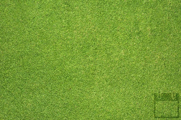 Diskette pictogram op groen gras textuur en achtergrond — Stockfoto