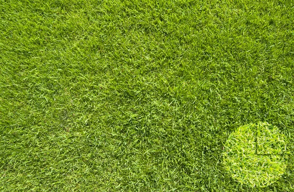 Cirkeldiagram på grönt gräs textur och bakgrund — Stockfoto