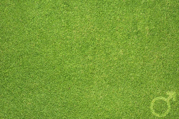 녹색 잔디 배경에서 성별 남자 기호 아이콘 — 스톡 사진