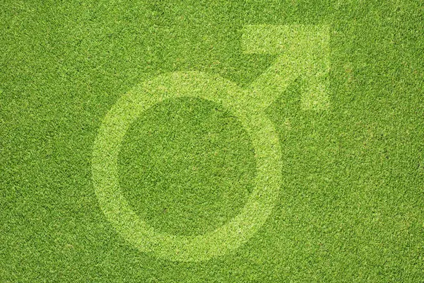 Ikony symbol człowieka płci na tle zielonej trawie — Zdjęcie stockowe