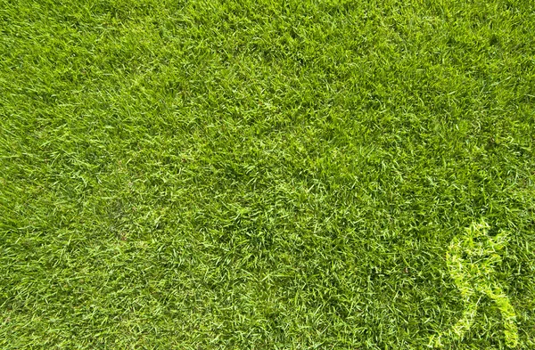 Sport box na zelené trávě textury a pozadí — Stock fotografie