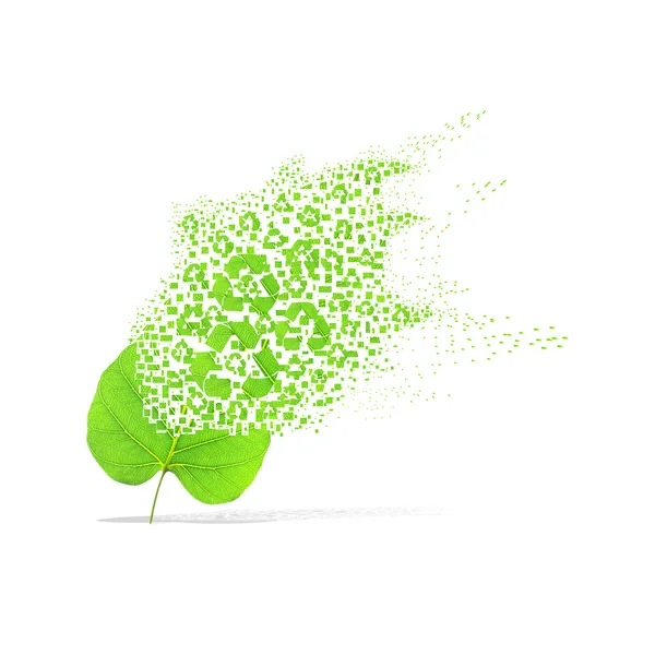 リサイクル白い背景の上の緑の葉 — ストック写真