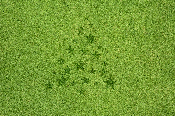 圣诞节树图标上绿草背景 — 图库照片