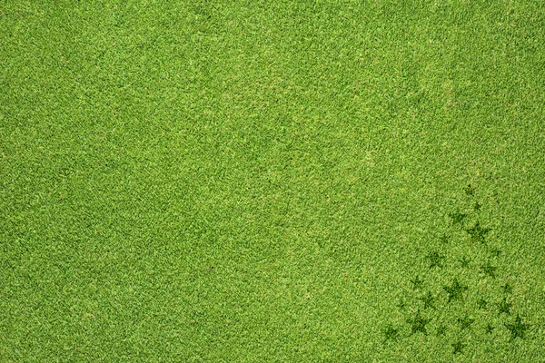 Icono de árbol de Navidad sobre fondo de hierba verde — Foto de Stock