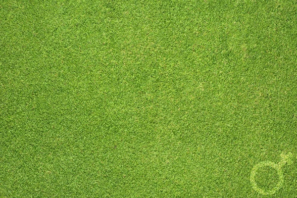 Geslacht vrouwen symbool op gras — Stockfoto