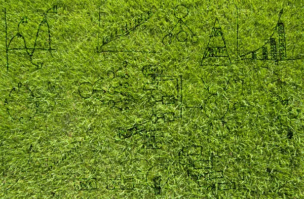 Rajz üzleti terv zöld fű textúra és háttér — Stock Fotó