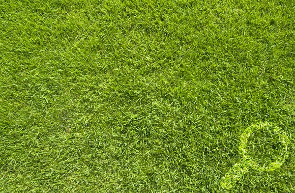 虫眼鏡アイコン緑の草の背景に — ストック写真