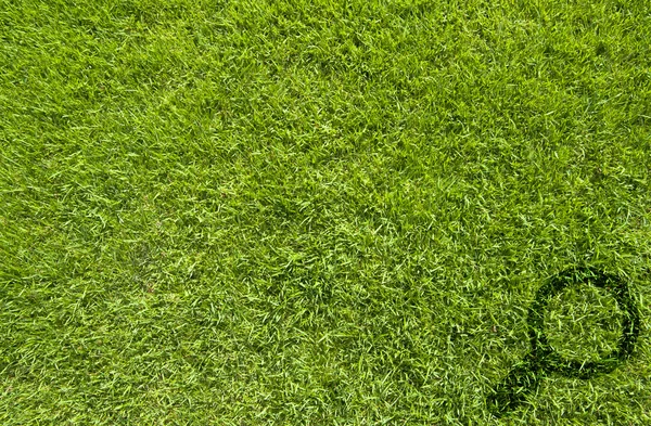 Büyüteç simgesini; yeşil çim zemin üzerine — Stok fotoğraf