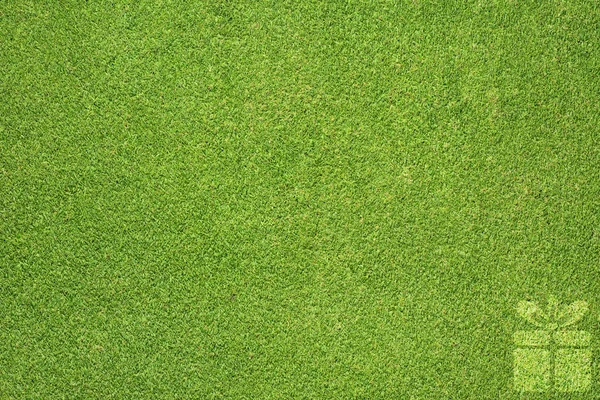 Значок коробки подарка на зеленом фоне травы — стоковое фото