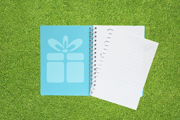 Libro con l'icona della scatola regalo di Natale su sfondo erba — Foto Stock