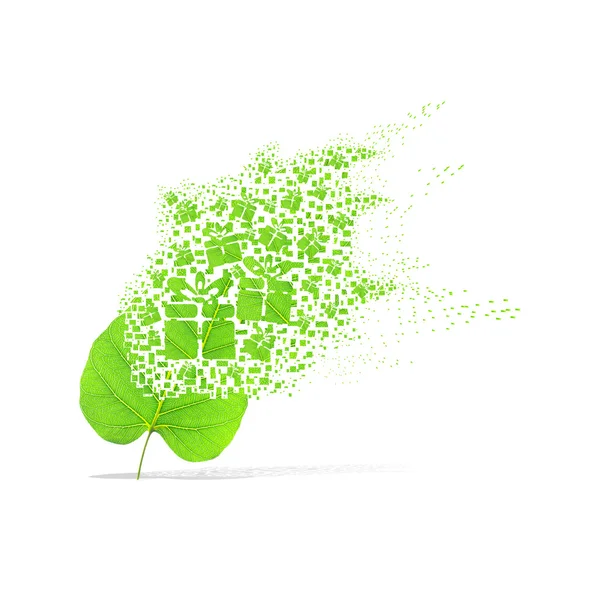 ギフト ボックス白い背景の上の緑の葉 — ストック写真