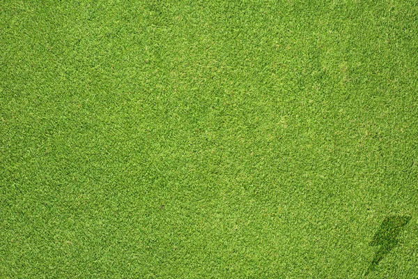 Грімбол на фоні трави і текстури — стокове фото