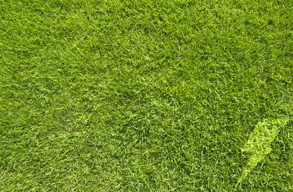 Piorun na trawa tło i tekstura — Zdjęcie stockowe