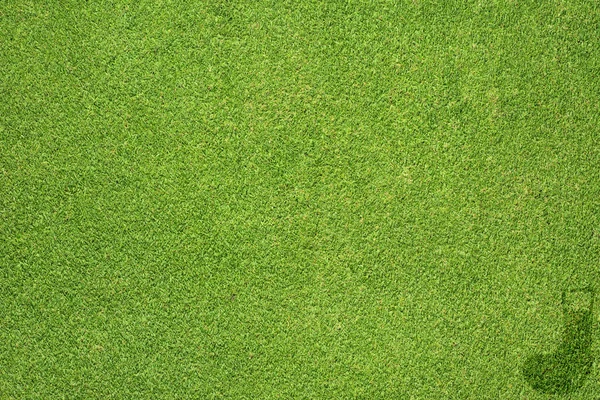 Значок носка на фоне травы — стоковое фото