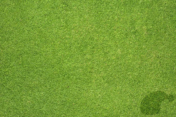 Hat icon on grass background — Stock Photo, Image