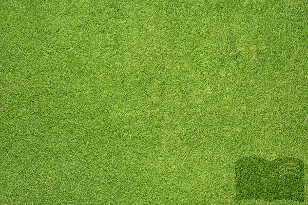 Book icon on green grass background — Stock Photo, Image