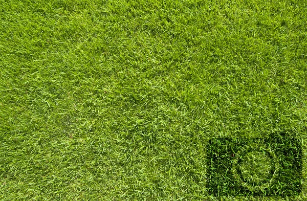 Ícone da câmera no fundo grama verde — Fotografia de Stock