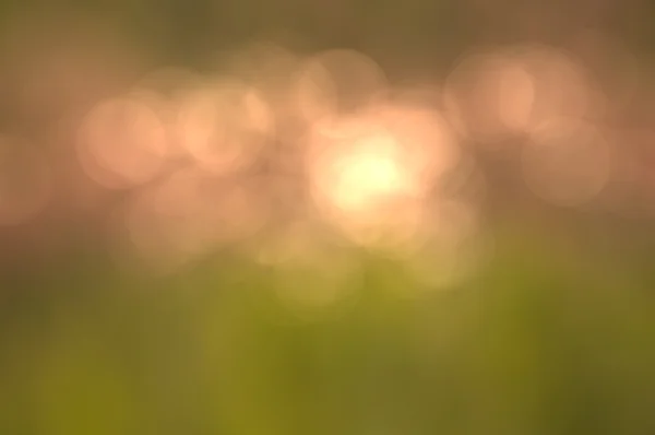 Elvont háttér zöld bokeh körök — Stock Fotó