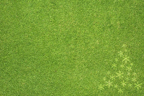 緑の草の背景にクリスマス ツリーのアイコン — ストック写真