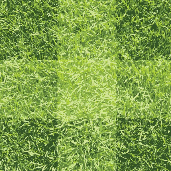 Zelené pozadí trávy — Stockový vektor