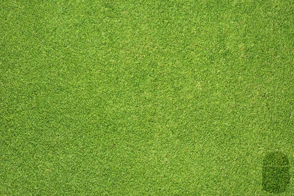 Mouse icon on green grass background — Stock Photo, Image