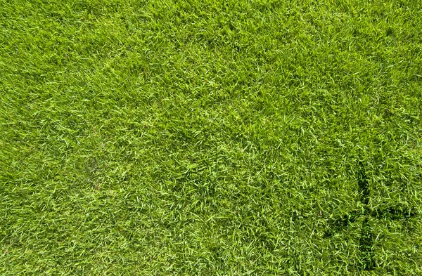 緑の草の背景に風力タービンのアイコン — ストック写真
