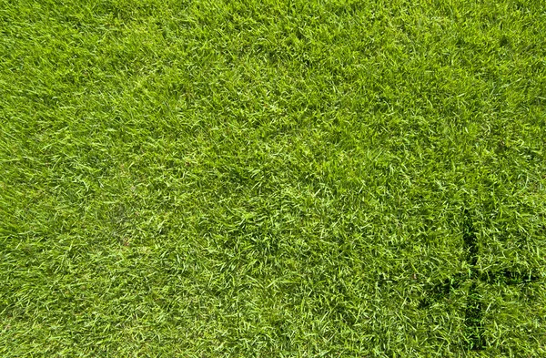 Ícone de turbina eólica no fundo de grama verde — Fotografia de Stock