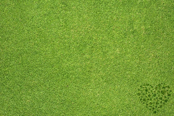 Icono del corazón sobre fondo de hierba verde — Foto de Stock