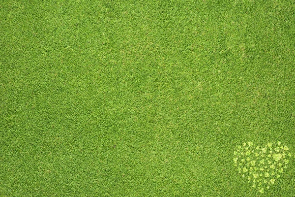 Ikona serca na tle zielonej trawie — Zdjęcie stockowe