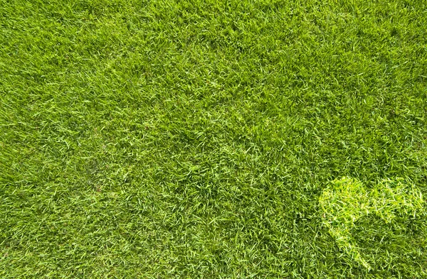 Kalp simgesi yeşil çim zemin üzerine — Stok fotoğraf