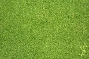 dolar simgesi yeşil çim zemin üzerine