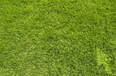 ok simgesi yeşil çim zemin üzerine