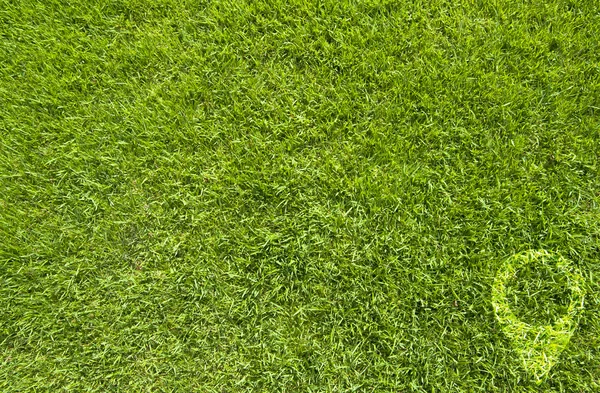 녹색 잔디 배경에서 핀 아이콘 — 스톡 사진