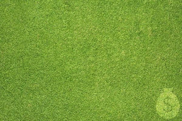 Pengar ikonen på grönt gräs textur och bakgrund — Stockfoto