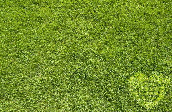 Yeşil çimenlerin üzerinde kalp simgesi olan küresel — Stok fotoğraf