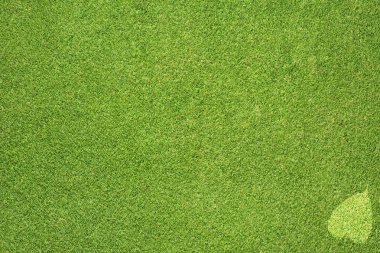 yaprak simgesi yeşil çim doku ve arka plan