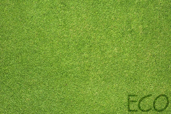 Eco letter on green grass texture and background — Stock Photo, Image