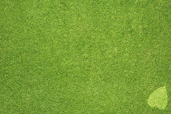 Ikona listu na zelené trávě textury a pozadí — Stock fotografie
