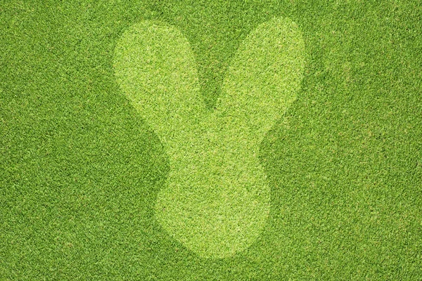 Konijn pictogram op groen gras textuur en achtergrond — Stockfoto