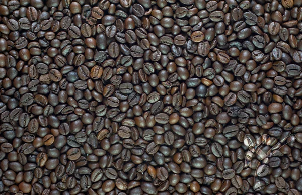 Иконка спортивного тхэквондо на фоне и текстуре кофе — стоковое фото