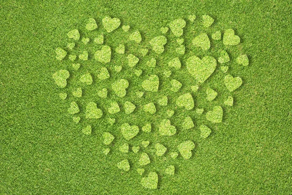 Heart icon on green grass background — Stock Photo, Image