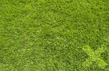 yeşil çim dokusu ve arka plan üzerinde yanlış simgesi