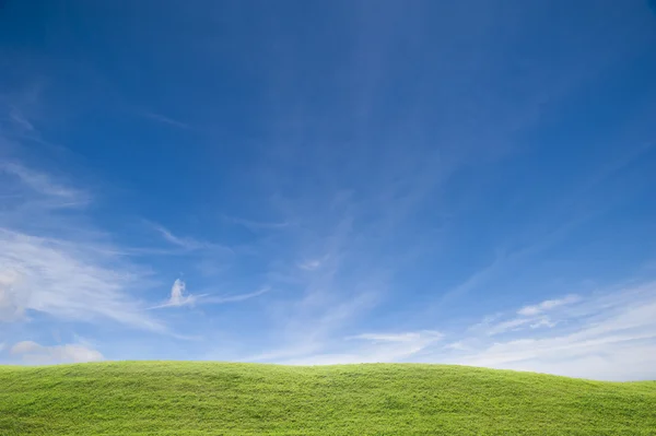 Зелена трава і блакитне небо — стокове фото