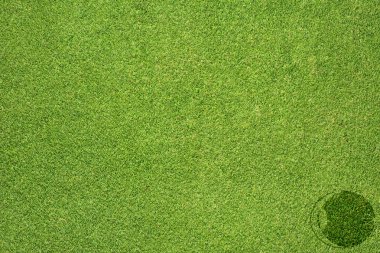 göz simgesi yeşil çim doku ve arka plan