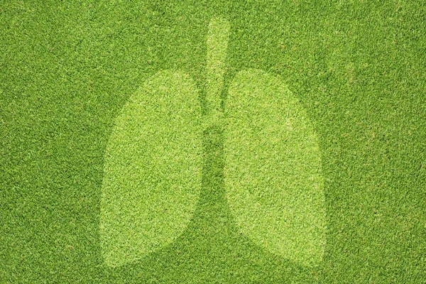 Icône pulmonaire sur fond et texture d'herbe verte — Photo