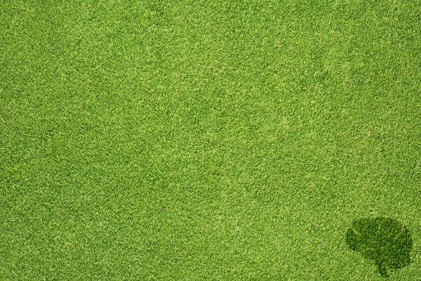 Ícone do cérebro na textura de grama verde e fundo — Fotografia de Stock
