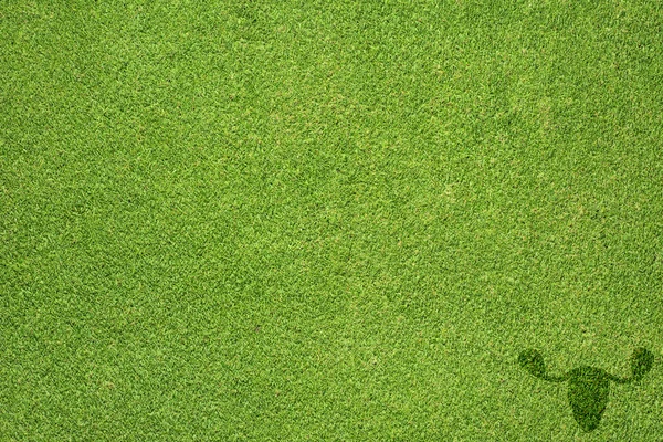 Ícone de ovário na textura de grama verde e fundo — Fotografia de Stock