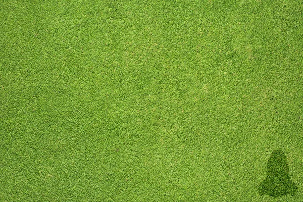 鼻のアイコンに緑の草のテクスチャと背景 — ストック写真